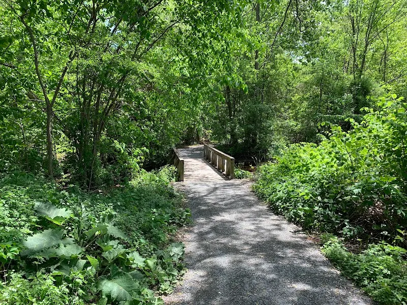 Cold Spring Park park in Newton, MA