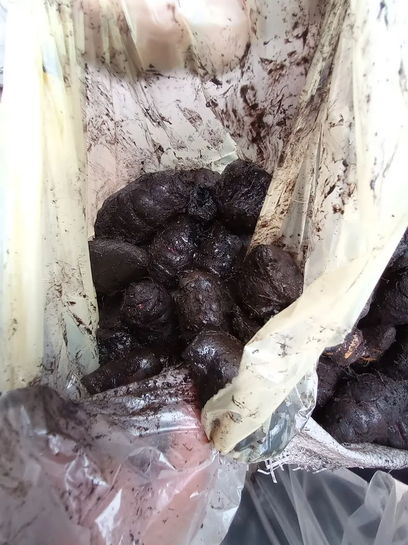 View of Comedor Popular de Breña in Breña, Lima