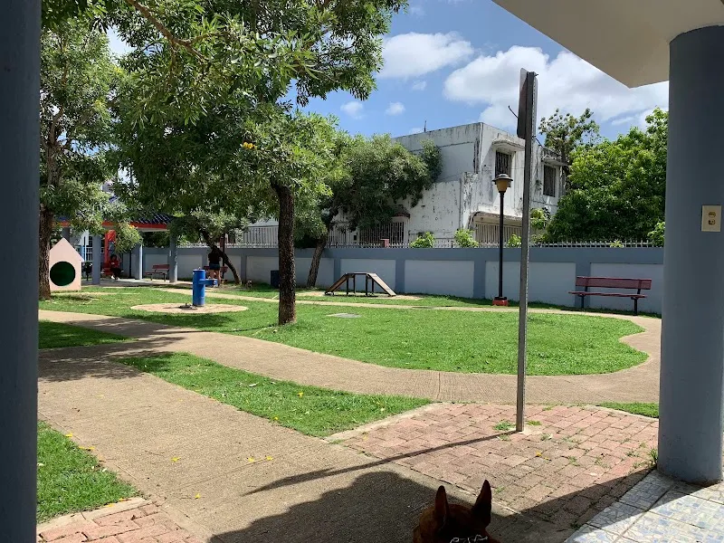 CONDADO DOG PARK, MUNICIPIO DE SAN JUAN dog park in Dorado, PR