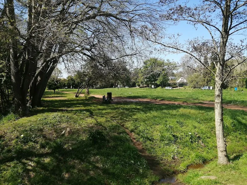 Constantia Greenbelt and Forest park in Constantia, WC