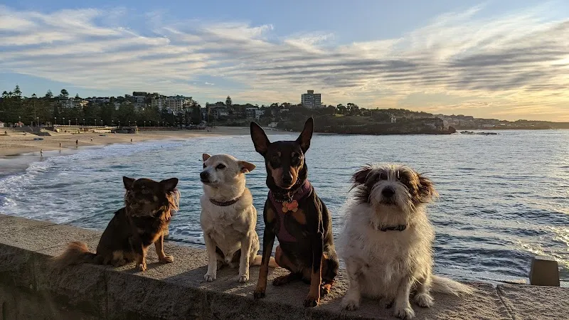 Coogee locality in Sydney, NSW