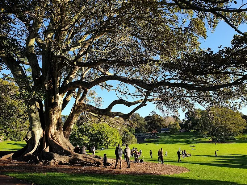 Cornwall Park park in Auckland, AKL