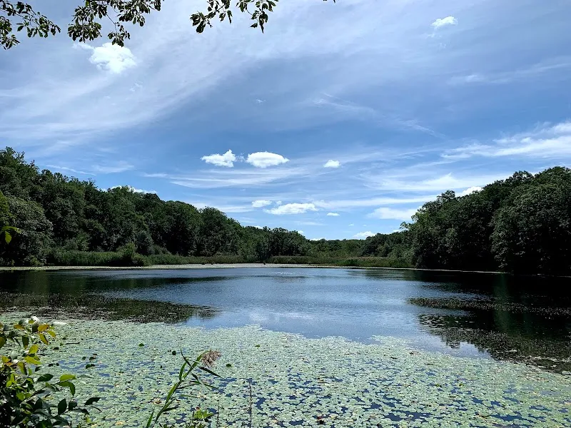 Cranberry Lake Preserve nature preserve in Westchester, NY