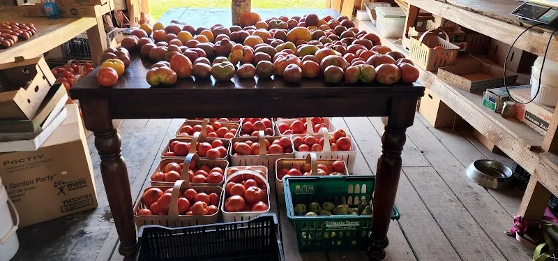 Cromwell's Produce farmers market in Pungo, VA