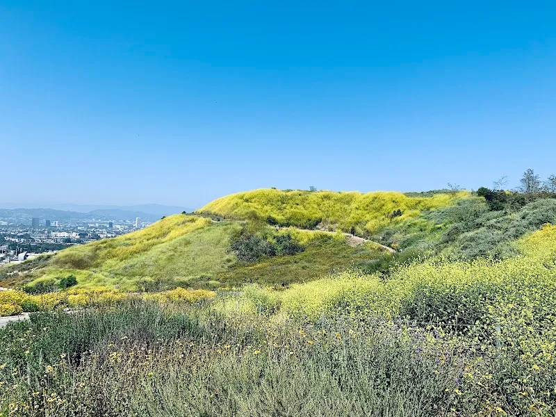 Culver City Stairs hiking area in Culver City, CA