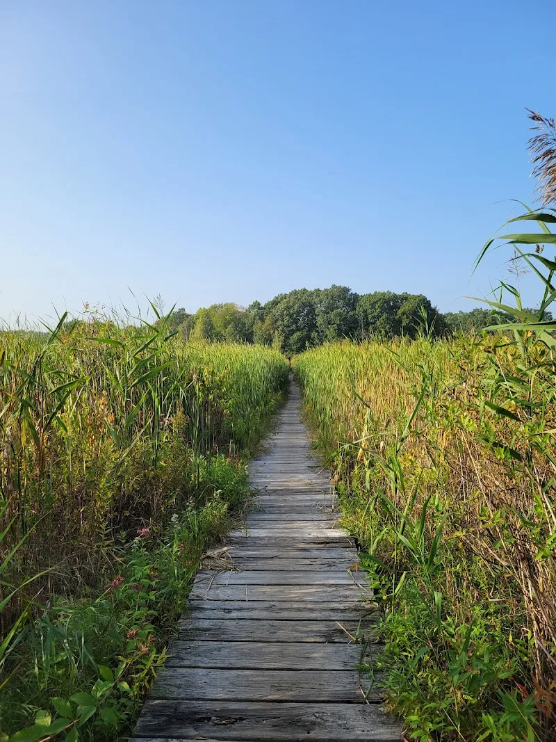 Cutler Park Reservation state park in Needham, MA