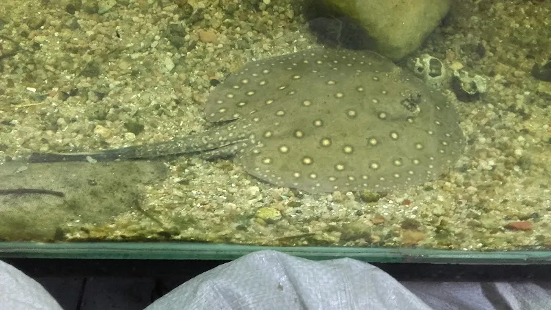 daniel aquarium corrarello aquarium in Buenos Aires, BA