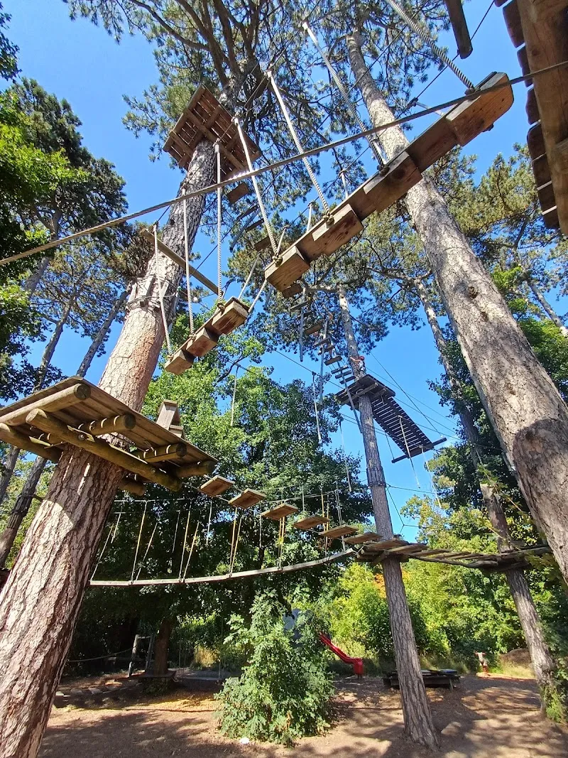 Danube Valley Adventure Park adventure in Klosterneuburg, VIE