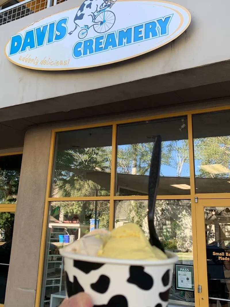 Davis Creamery Ice Cream & Frozen Yogurt in Davis, CA