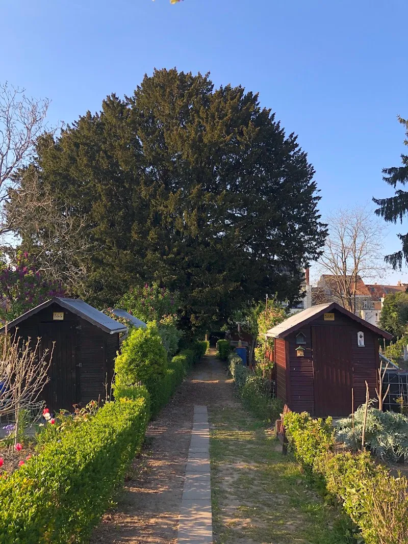 De Aardehoek - sector 3 garden in Jette, BRU