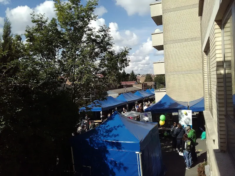 De Volkstuinen van Etterbeek garden in Etterbeek, BRU