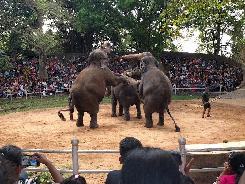 Dehiwala Zoological Gardens zoo in Colombo, WP