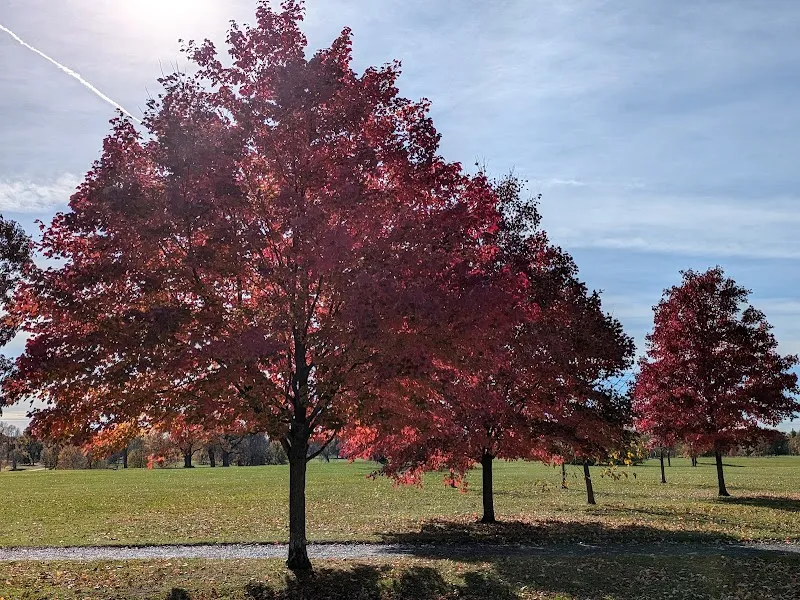 Delaware Park neighborhood in Buffalo, NY