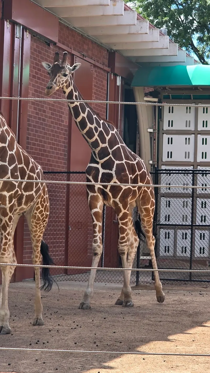 Denver Zoo zoo in Denver, CO