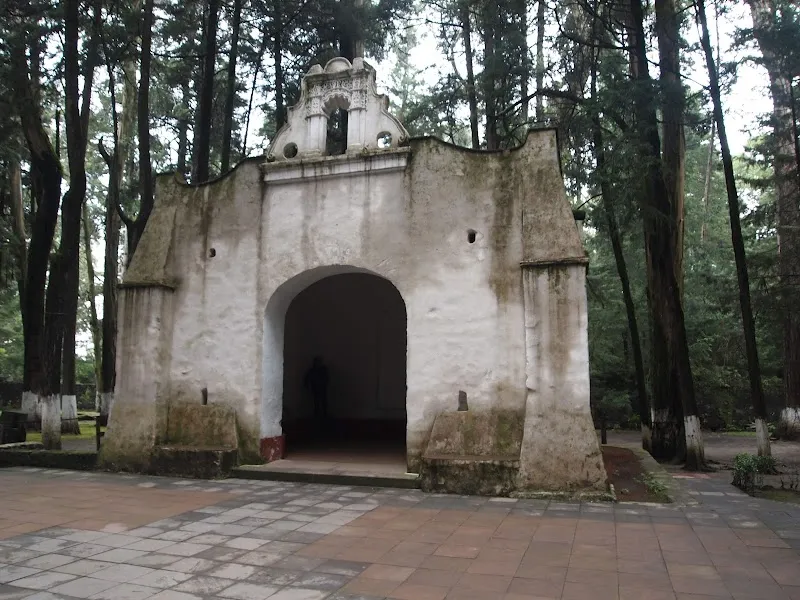 Desierto de los Leones National Park national park in Naucalpan, Edomex