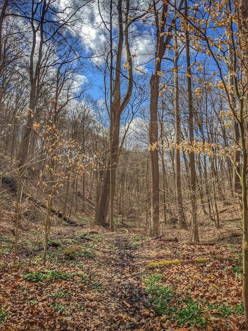 Devil's Hollow Conservation Area park in Sewickley, PA