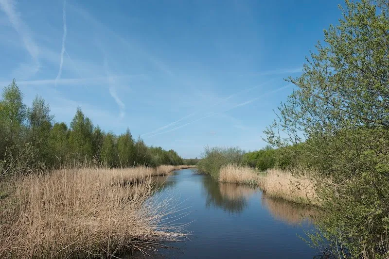 Diemerbos woods in Diemen, NH