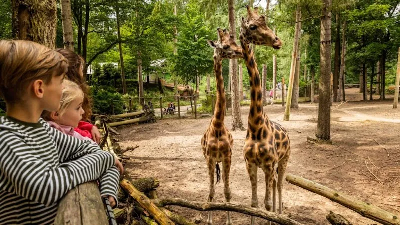 DierenPark Amersfoort zoo in Hilversum, NH