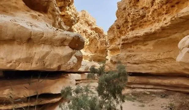 Digla Park park in Maadi, Cairo