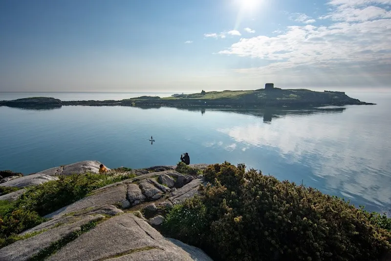 Dillon's Garden Centre Cafe cafe in Dalkey, D