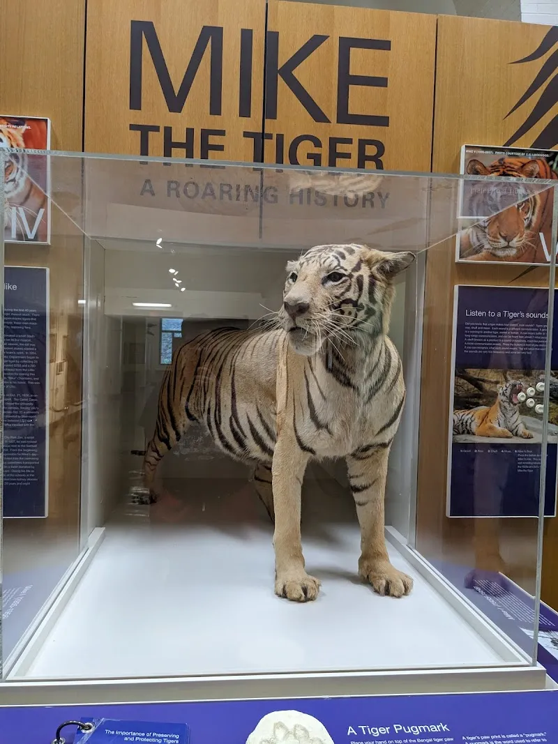 Dinosaur Park attraction in Baton Rouge, LA