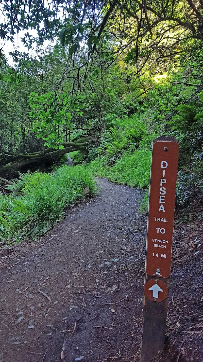 Dipsea Trail route in Mill Valley, CA