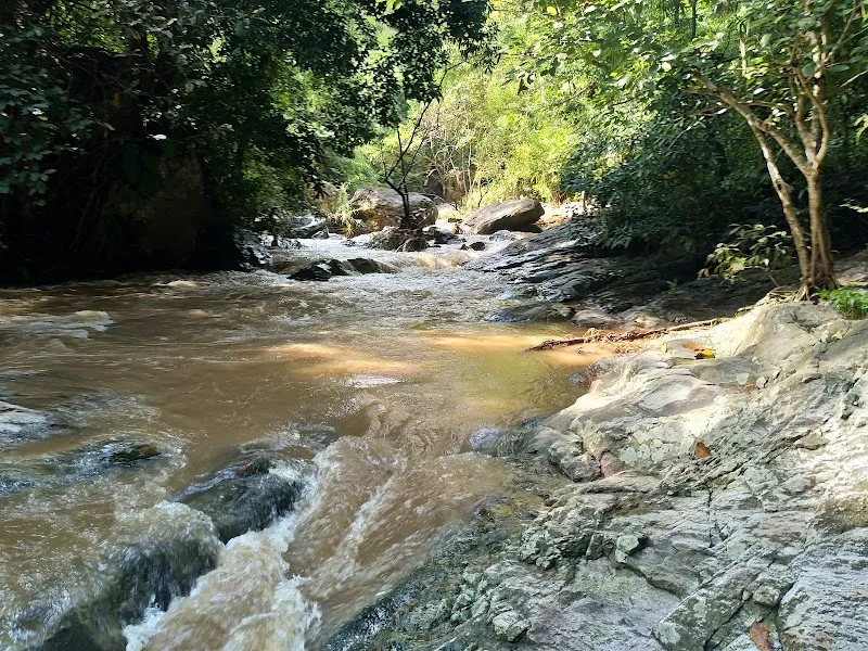 Doi Suthep-Pui National Park national park in Mae Rim, CM