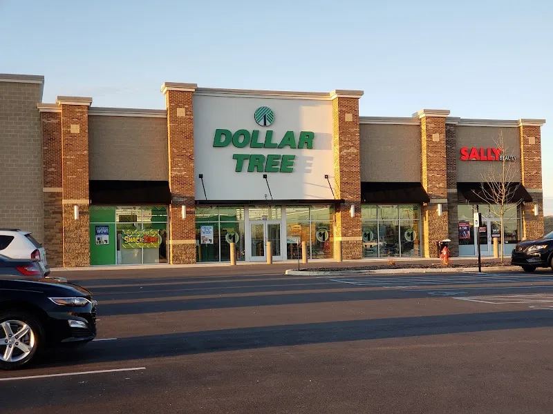 Dollar Tree discount store in Whitestown, IN
