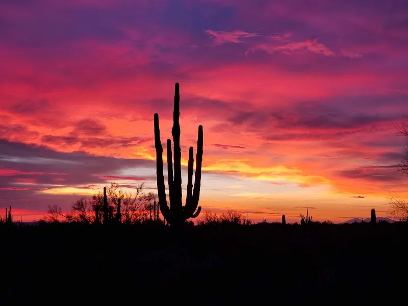 Dove Mountain Park park in Dove Mountain, AZ