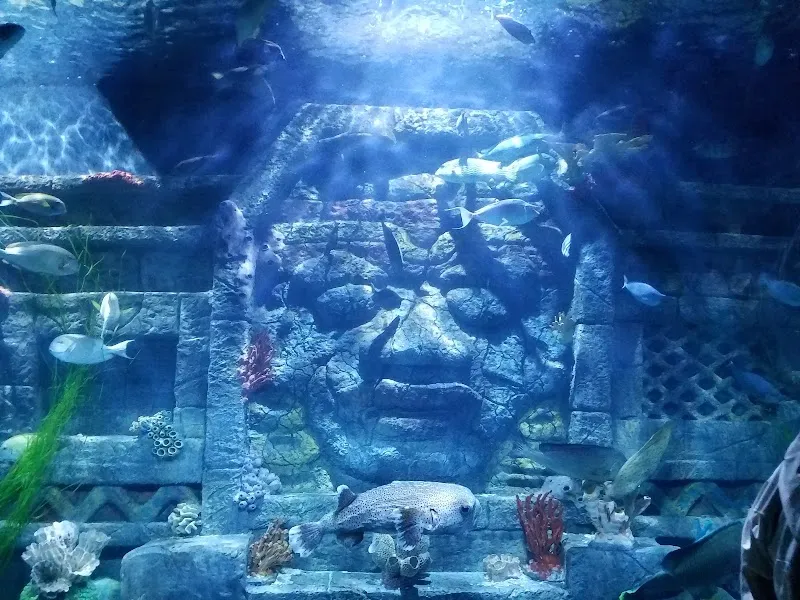 Downtown Aquarium tourist attraction in Houston, TX