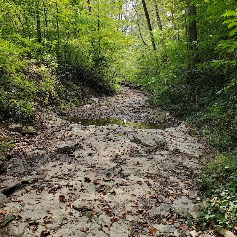 Drake Park park in Indian Hill, OH