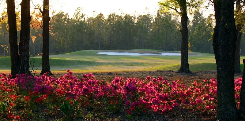 Eagle Landing Golf Club golf course in Fleming Island, FL