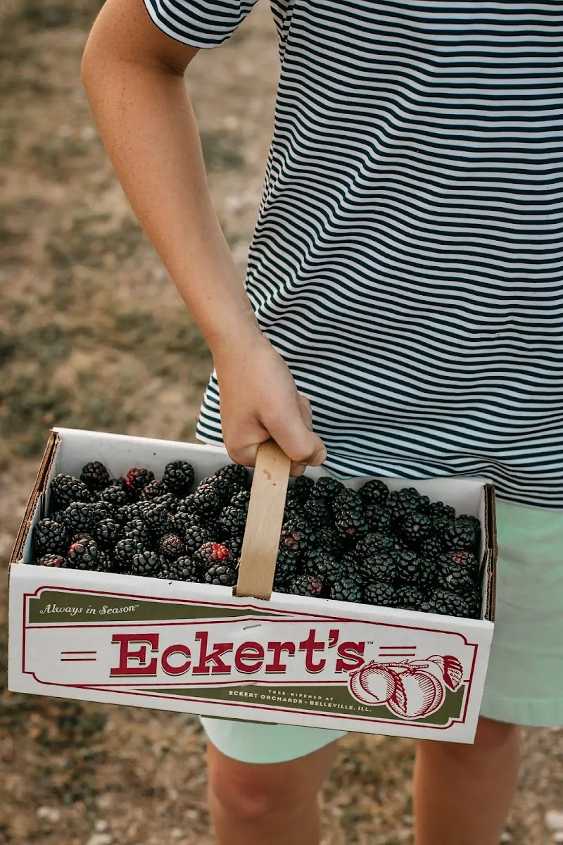 Eckert's Pick Your Own Belleville Farm farm in Belleville, IL