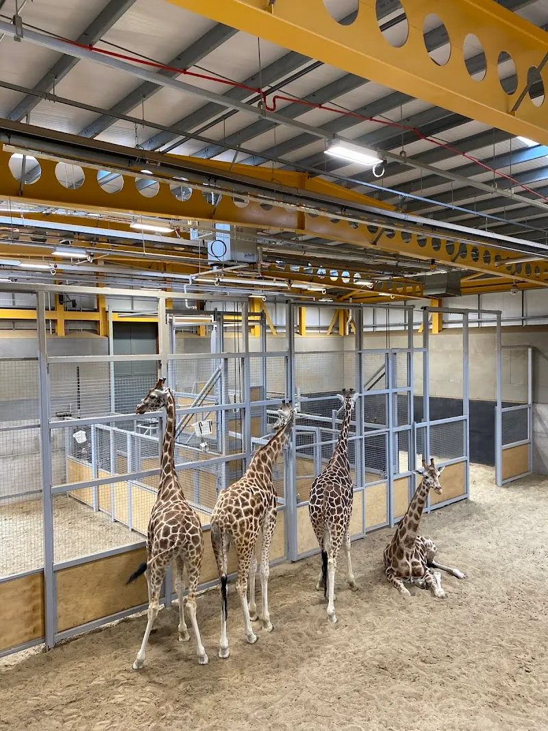 Edinburgh Zoo zoo in Edinburgh, SCT