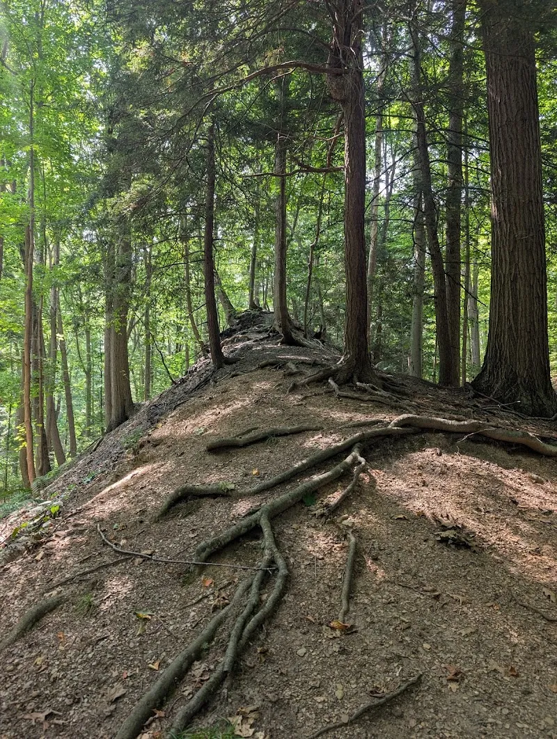 Eighteenmile Creek Conservation Park park in Hamburg, NY