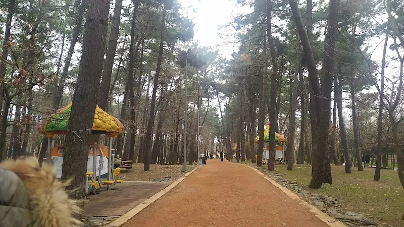 Çekmeköy Doğa Yürüyüş Alanı outdoor adventure in Çekmeköy, Istanbul