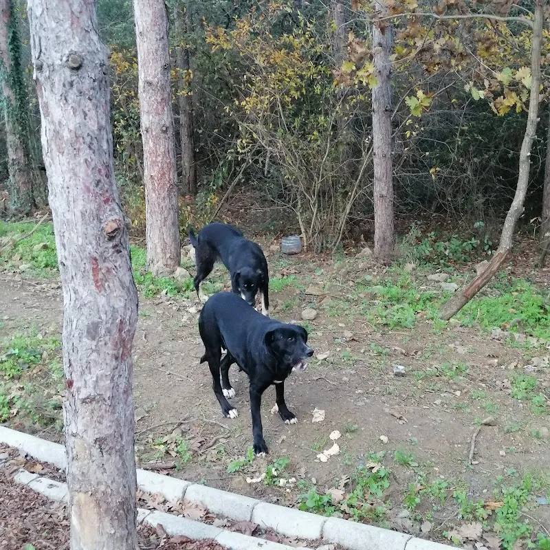 Çekmeköy Yüryüş Ve Bisiklet Parkuru hiking area in Çekmeköy, Istanbul