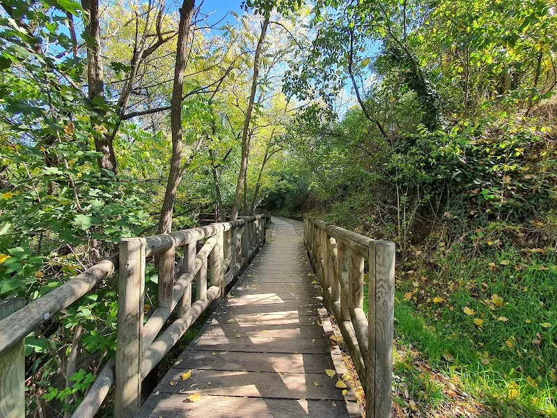 El Forestal de Villaviciosa de Odón nature preserve in Majadahonda, Madrid