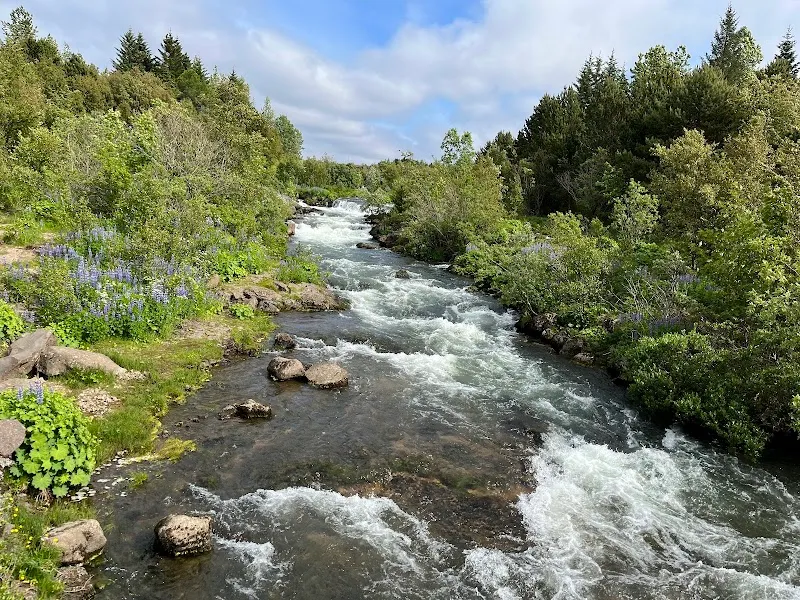 Elliðaárdalur park in Árbær, CR