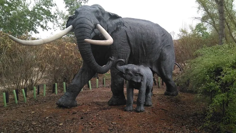 Environmental Education Center El Campillo hiking area in Rivas-Vaciamadrid, Madrid