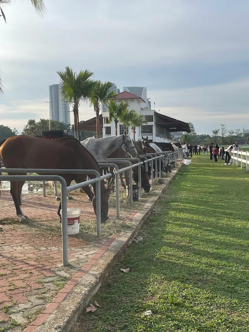 Equestrian Park Putrajaya sports activity location in Putrajaya, FT