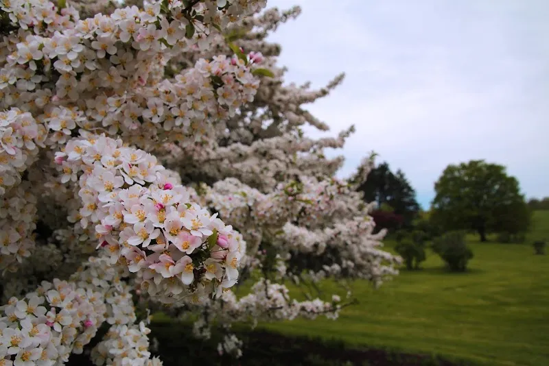 Ewing Park park in Des Moines, IA
