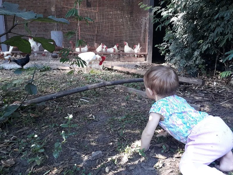 Farm La Aurora farm in Moron, BA