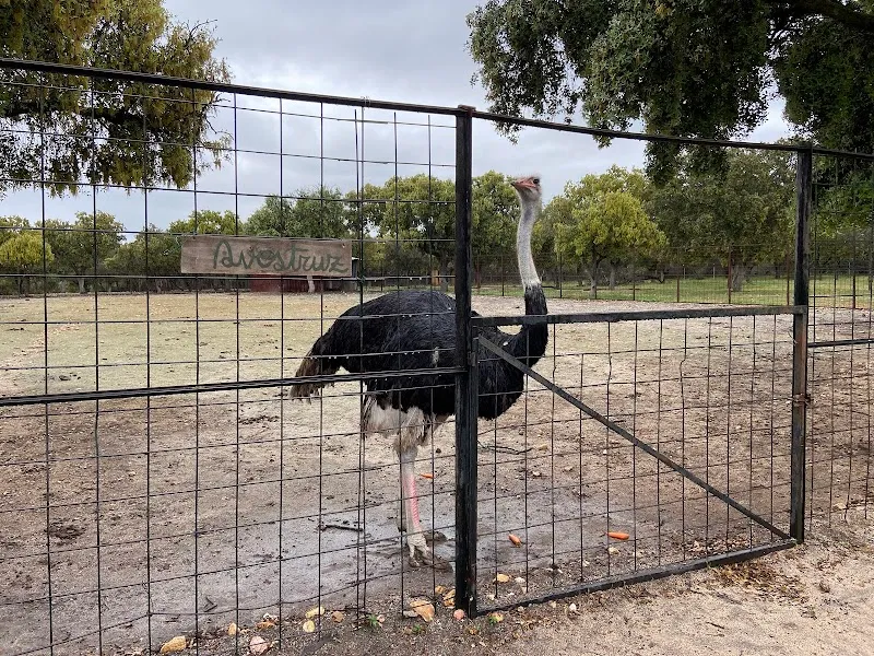 Farm School The Alamo farm in Boadilla del Monte, Madrid