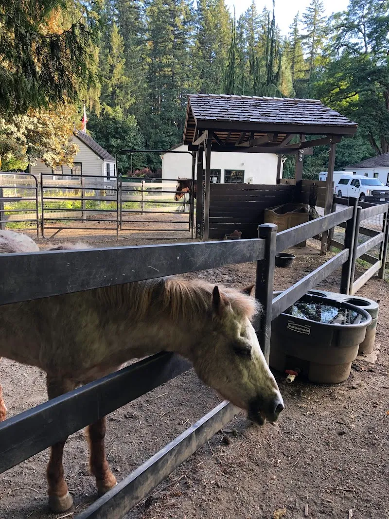 Farrel-McWhirter Park park in Redmond, WA