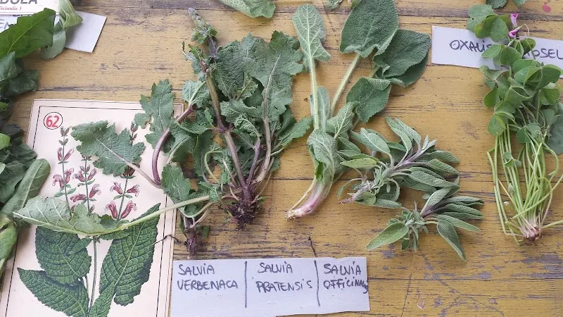 Fattoria Biologica Le Bricchiette farmstay in Bracciano, Lazio