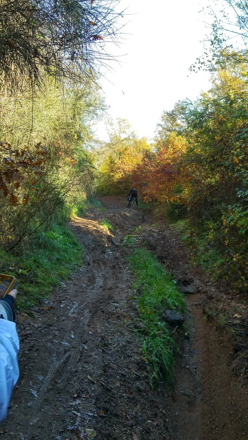 Fattoria Didattica Bracciano farm in Bracciano, Lazio