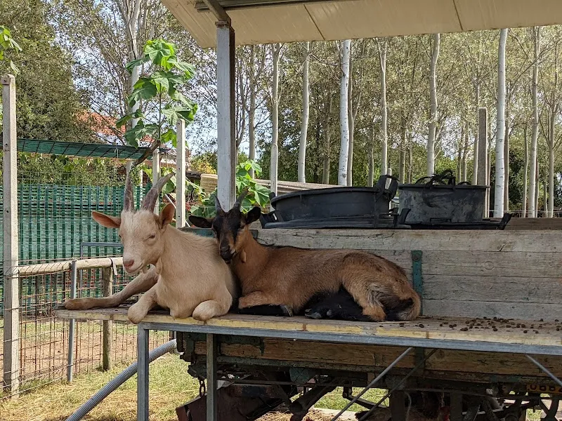 Fattoria Didattica Le Valli farm in Spinea, VE