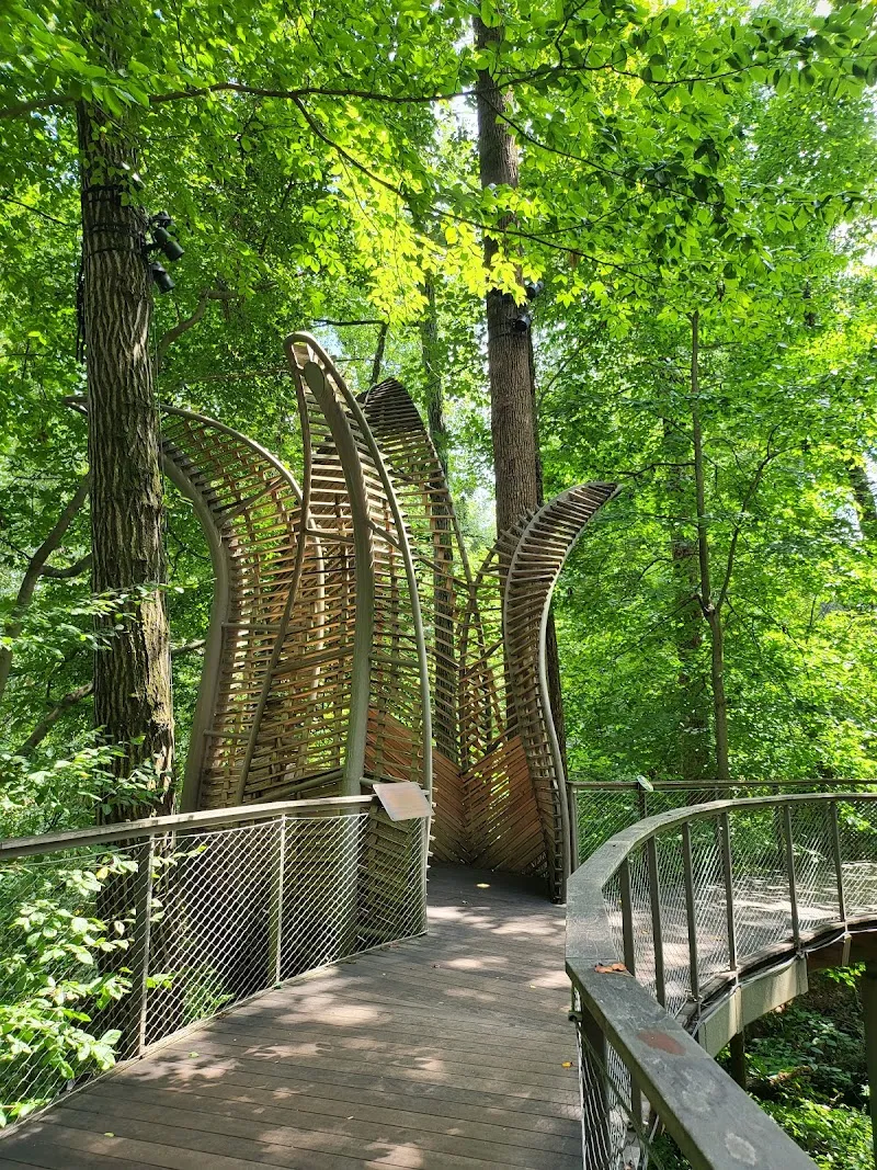 Fernbank Museum | 3D Theater | Forest nature preserve in Atlanta, GA