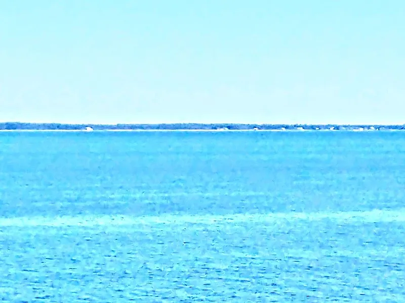 Ferry Pass locality in Ferry Pass, FL